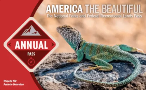 National Parks Pass with lizard